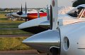 IMG_7574.CR2