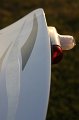 IMG_7577.CR2