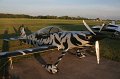 IMG_9589.CR2