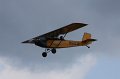IMG_8205.CR2