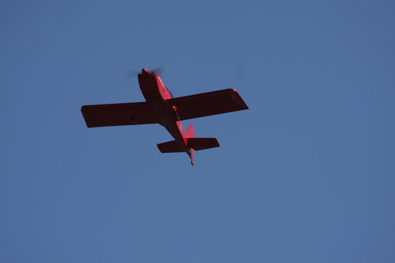IMG_8110.CR2.jpg