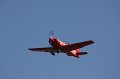 IMG_7827.CR2