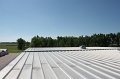 IMG_5041
