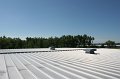 IMG_5042