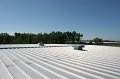 IMG_5045
