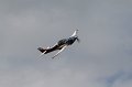 IMG_1409.CR2