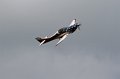 IMG_1411.CR2