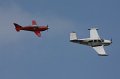 IMG_9484.CR2