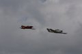 IMG_9498.CR2