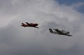 IMG_9501.CR2