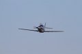 IMG_2235.CR2