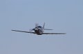 IMG_2239.CR2