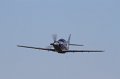 IMG_2241.CR2