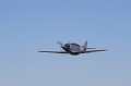 IMG_2244.CR2