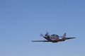 IMG_2246.CR2