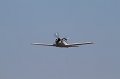 IMG_2383.CR2