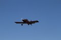 IMG_2774.CR2