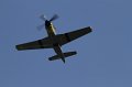 IMG_2202.CR2
